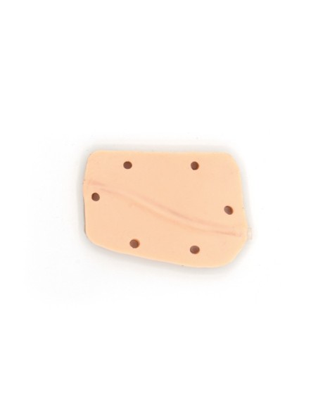 Gynecological Training Dog Simulator Erler Zimmer VET5000