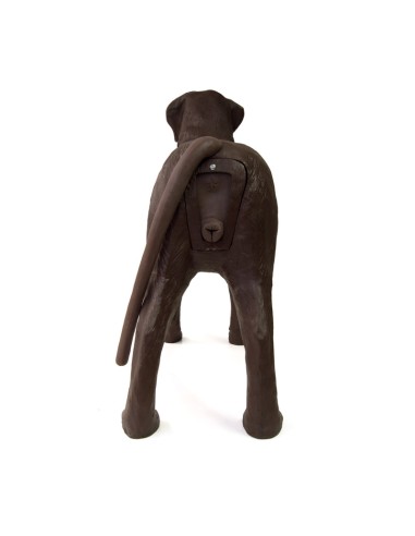 Gynecological Training Dog Simulator Erler...