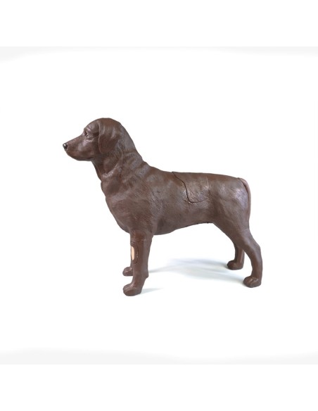 Simulateur de chien pour la formation en gynécologie Erler Zimmer VET5000