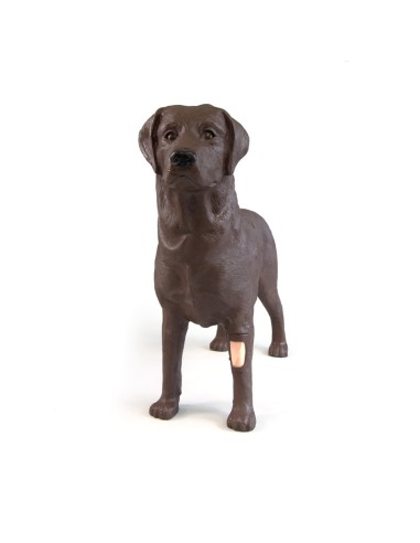 Hundesimulator für die gynäkologische...