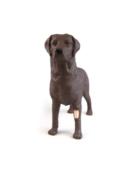 Simulateur de chien pour la formation en gynécologie Erler Zimmer VET5000