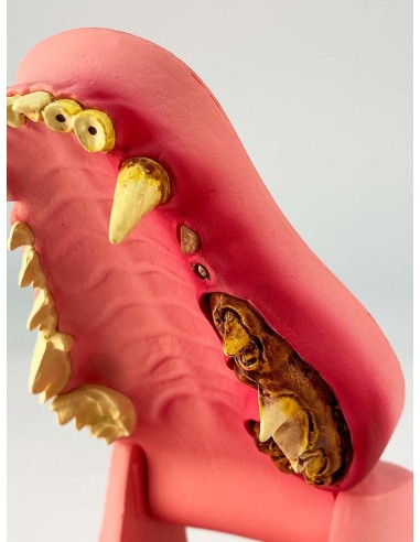 Dog jaw, life-size - healthy/sick - Erler...