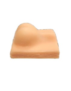 Simulateur d'entraînement à la stérilisation des chiens...