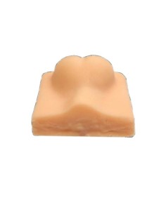 Erler Zimmer VET4530 simulador de castración de perros 2