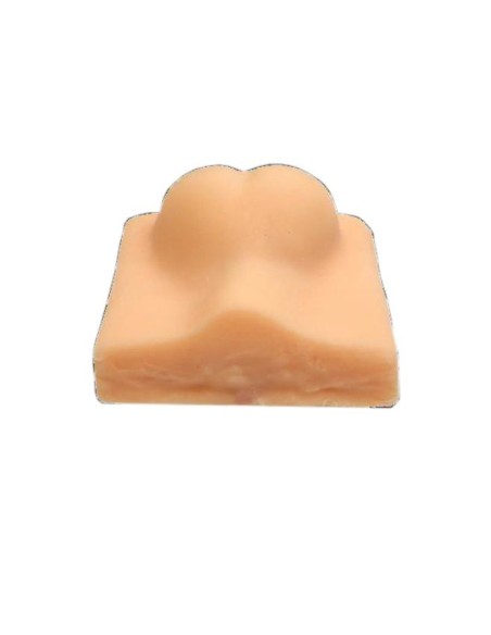 Erler Zimmer VET4530 Hundekastrations-Trainingssimulator