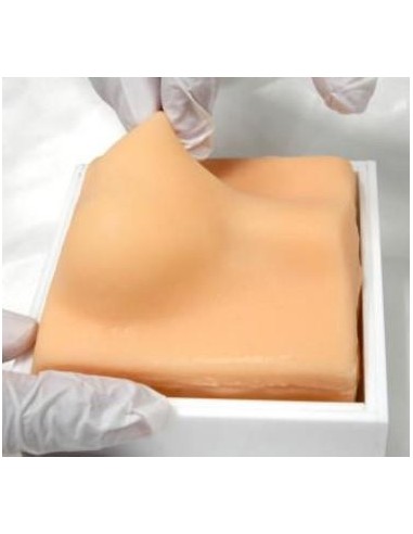 Erler Zimmer VET4530 simulador de castración de...