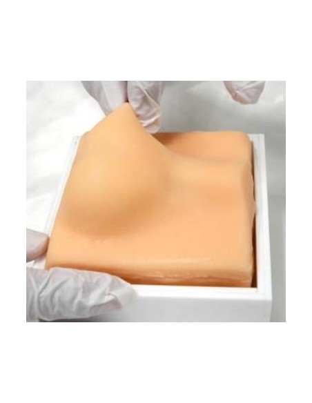 Simulatore per addestramento alla castrazione del cane Erler Zimmer VET4530