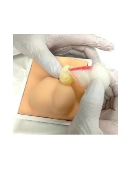 Erler Zimmer dog neutering training simulator VET4530