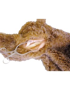 Módulo de fractura femoral para entrenamiento RCP Maniquí...