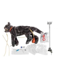 Mannequin de chat pour l'entraînement au sauvetage dans...