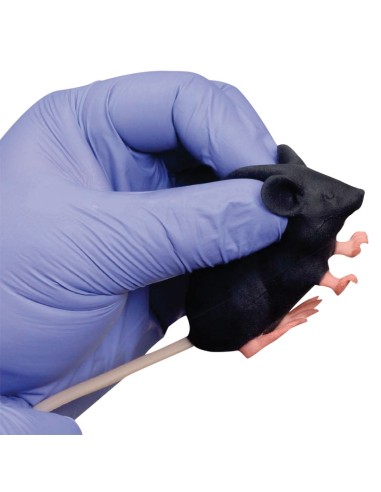 Mannequin souris Mimicky EZ VET4220