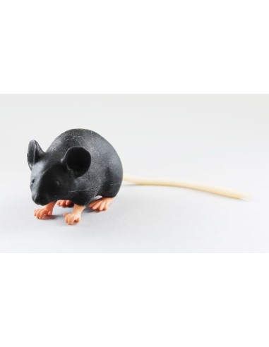 Mannequin souris Mimicky EZ VET4220