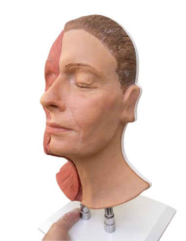 Simulador para inyecciones faciales con...