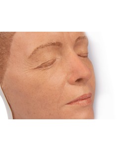 Simulador de inyección facial modelo A, Erler Zimmer 8100 2