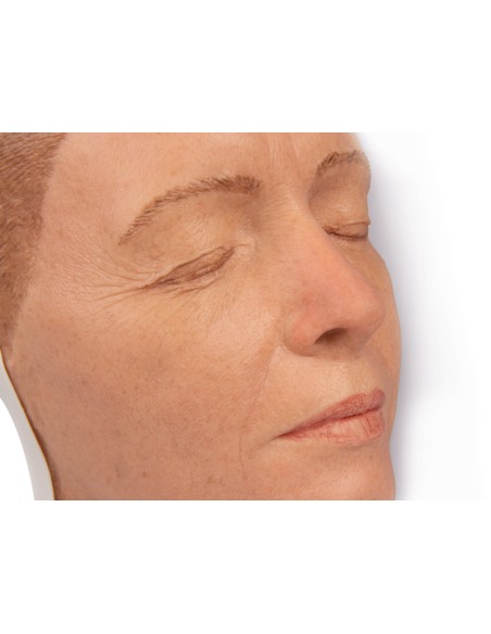 Simulador de inyección facial modelo A, Erler Zimmer 8100