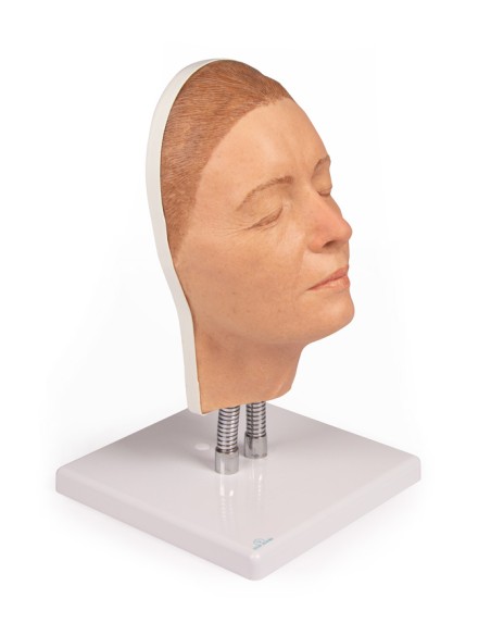 Simulador de inyección facial modelo A, Erler Zimmer 8100