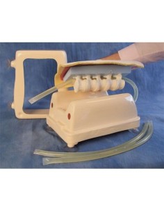 Tubos largos de recambio para simulador de inyección...