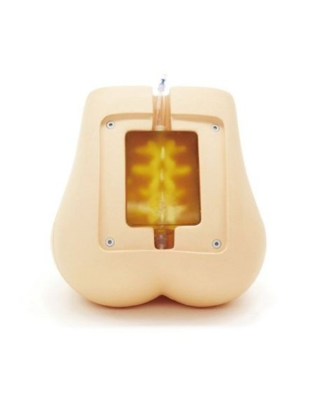 Simulator für ultraschallgesteuerte Epidural- und Spinalinjektionen Erler Zimmer R16015