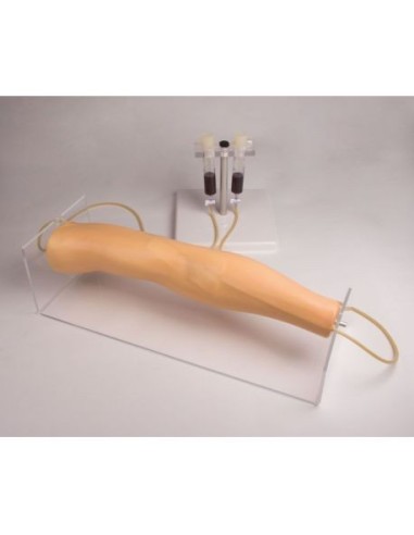 Bras d'entraînement à l'injection intraveineuse Erler Zimmer 7020