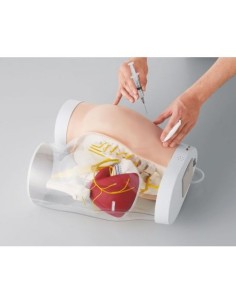 Erler Zimmer Intramuscle Injection Training Hip Model R16606