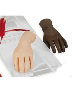 Main pour la formation à l'injection intraveineuse Erler...