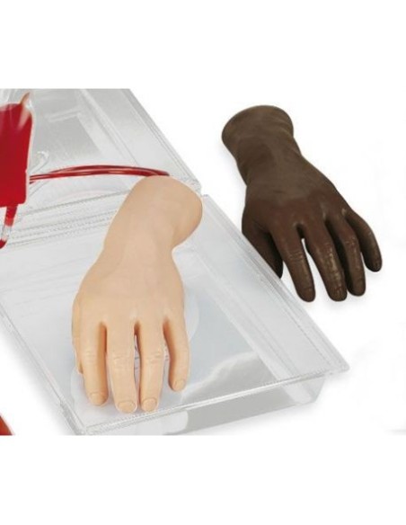 Erler Zimmer Endovenous Injection Training Hand R10210