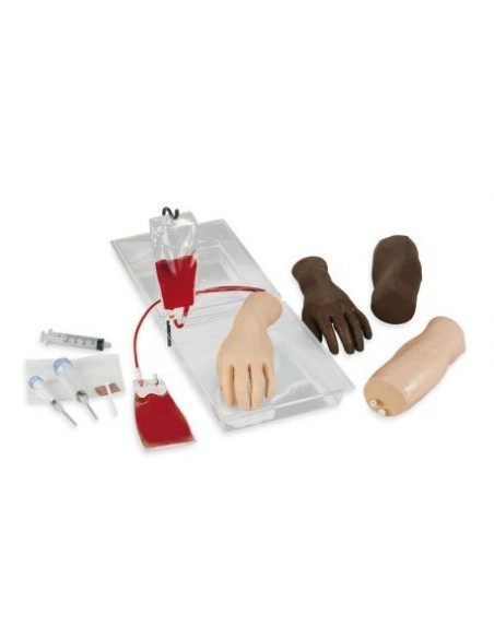 Mano y brazo para entrenamiento de inyección intravenosa Erler Zimmer R10200