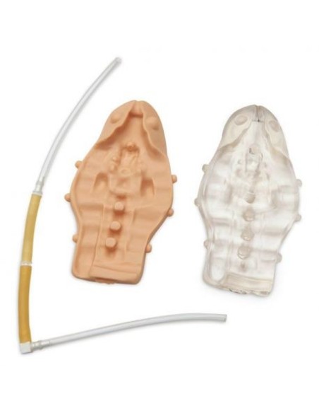 Replacement Parts Kit for Pediatric Simulator for Caudal Injection Training Erler Zimmer R11032