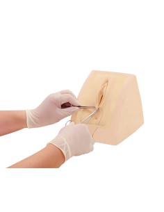 Simulateur de suture chirurgicale périnéale Erler Zimmer... 2