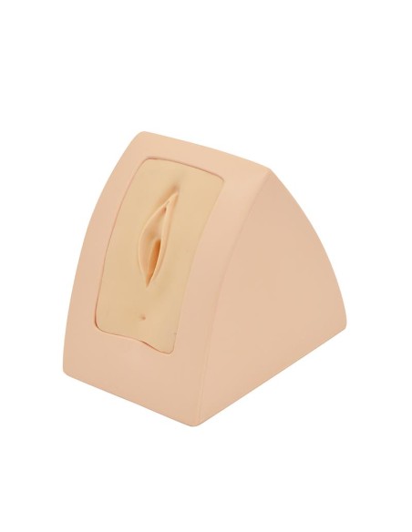 Simulador de sutura quirúrgica perineal Erler Zimmer R16180
