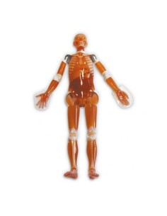 Radiology Simulator - Modular Full-Body Manikin for...