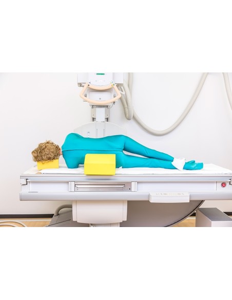 Radiographic positioning dummy - Plastic skeleton EZ7201