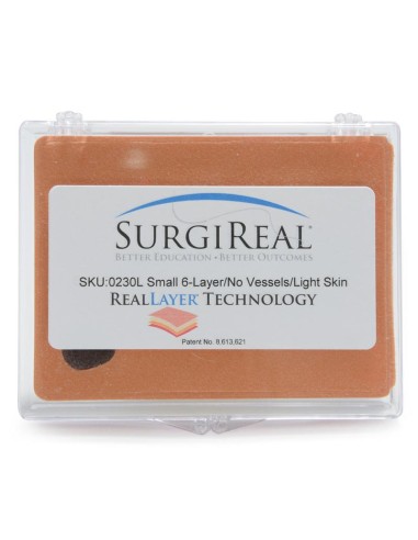 Simulated 6-layer subcutaneous tissue Clear...