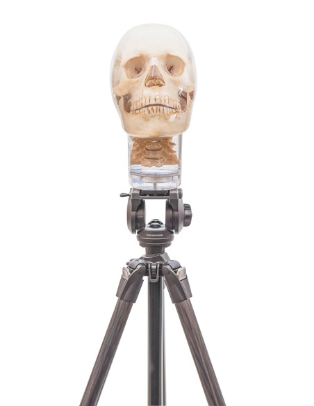 Stand robusto per cranio radiografico EZ7350