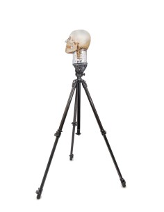 Sturdy stand for radiographic skull EZ7350 2