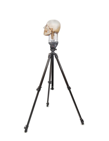 Soporte robusto para cráneo radiográfico EZ7350