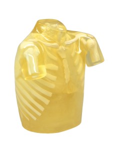 Radiology Simulator - Radiographic chest with artificial...