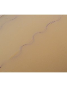 Peau de remplacement transparente pour Erler Zimmer Skin... 2