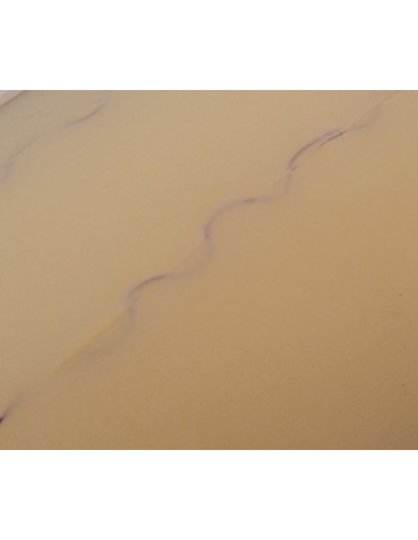 Peau de remplacement transparente pour Erler...