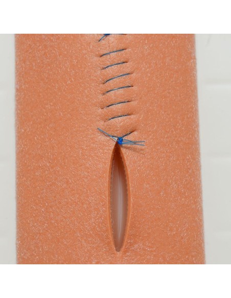 Cuscinetto di sutura a 3 strati in RealLayer senza vasi, pelle chiara Erler Zimmer SRE0150L