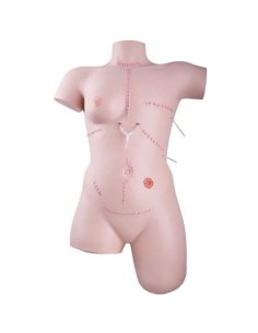 Simulador para el cuidado de heridas y técnicas de...