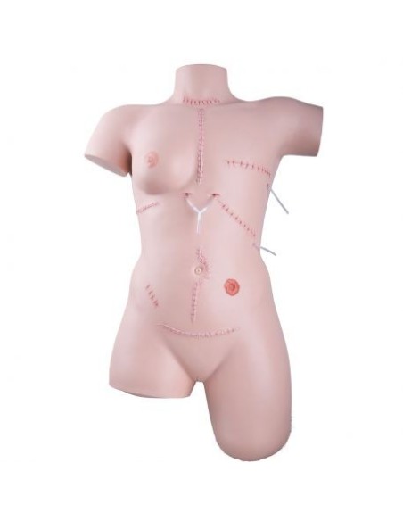 Simulateur pour le soin des plaies et les techniques de pansement 3B Scientific P100