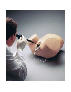 Simulador de Ginecología - Formación en Histeroscopia -...