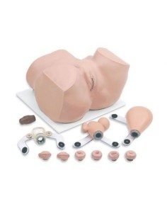 Simulador de Ginecología - Maniquí de entrenamiento...
