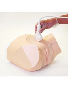 Simulateur de gynécologie - Mannequin d'échographie -...