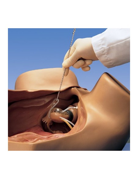 ZOE Gynecological Simulator - Gaumard Scientific W45043