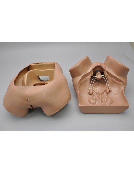 Simulador ginecológico ZOE - Gaumard Scientific W45043