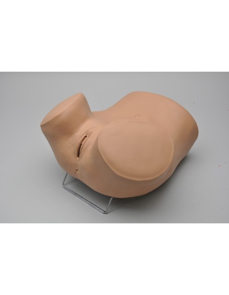 Simulador ginecológico ZOE - Gaumard Scientific W45043