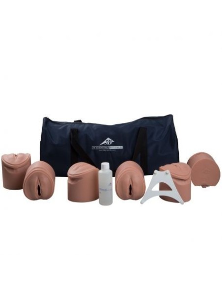 3B Scientific P94 Stages of Delivery Simulator