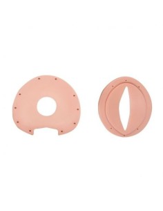 Cérvix/Vulva para Simulador de Parto 3B Scientific P90...